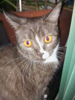 Дмитрий, изображение к комментарию.