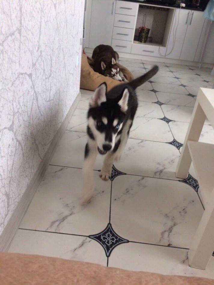 слайд