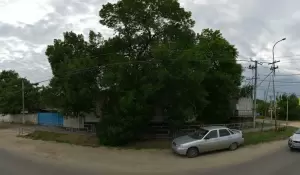Фотография Городская ветеринарная лечебница 0
