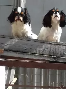 Фотография Мир Животных 2