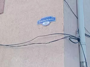 Фотография Айболит+ 0