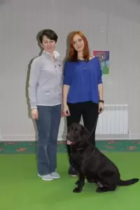 Фотография Альянс 1